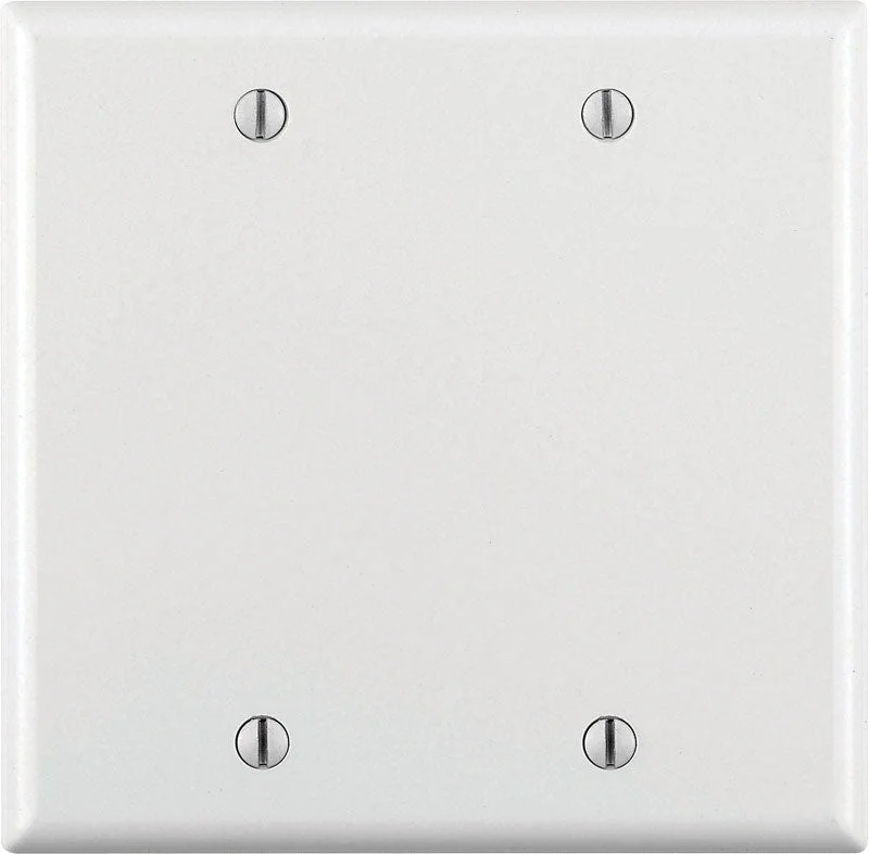 unique wedding dinnerware sets-Leviton White 2 gang Plastic Blank Wall Plate Cover 1 pk (Pack of 25)