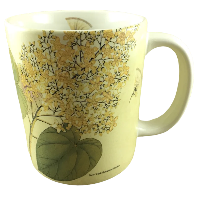 ceramic mugs with quirky designs-Coast Of Coromandel New York Botanical Garden Mertz Library Mug Amcal