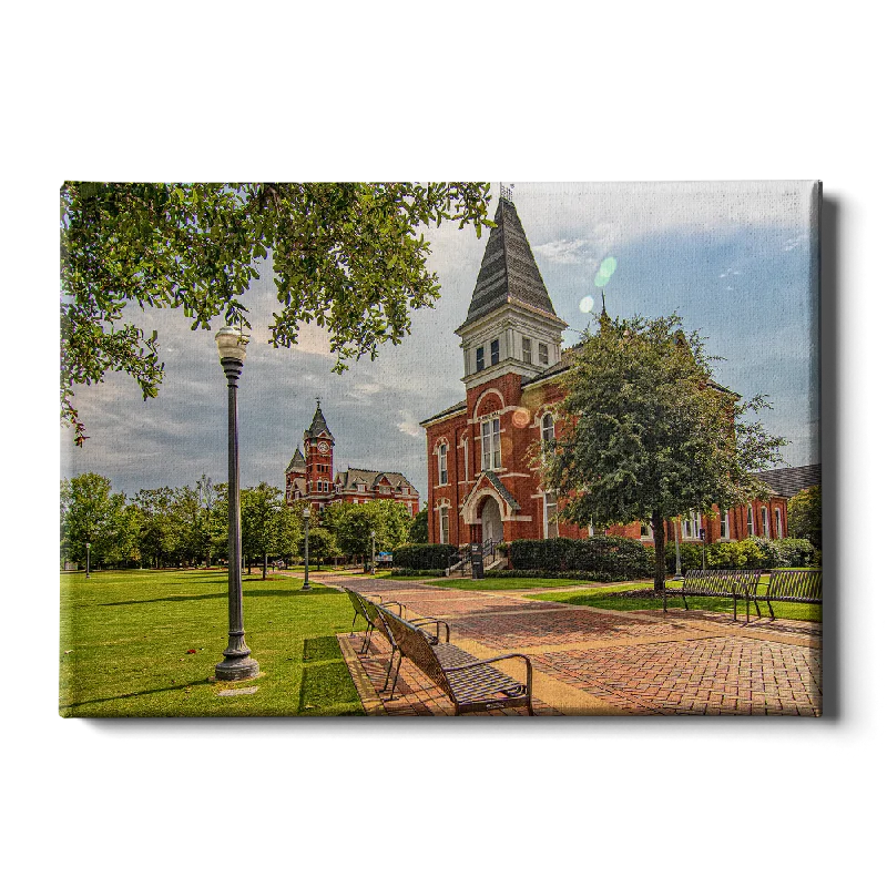 cityscape wall paintings-Auburn Tigers - Old School HDR