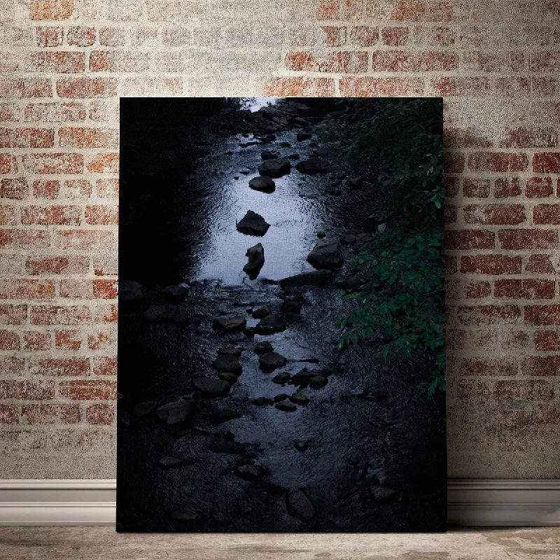 black and white photography canvas art-Black River Canvas Set