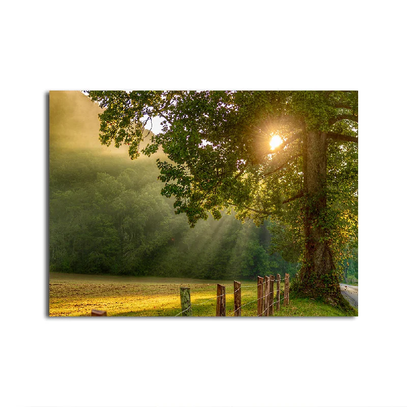 ocean landscape canvas art-Cades Cove