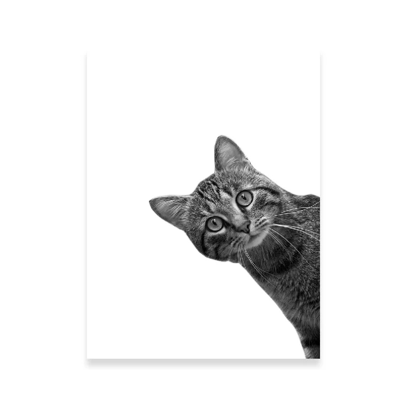 modern coastal wall decor-Cat