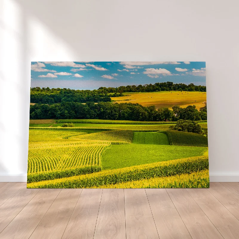 creative wall paintings-Corn Fields and Rolling Hills York County