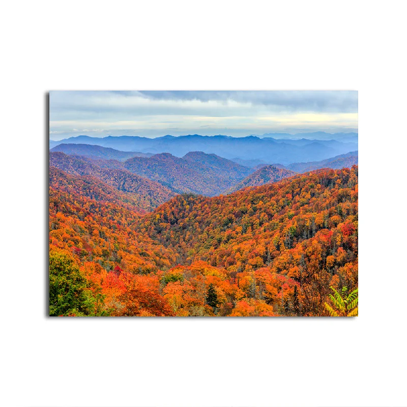 wildlife art canvas prints-Great Smoky Mountains Autumn