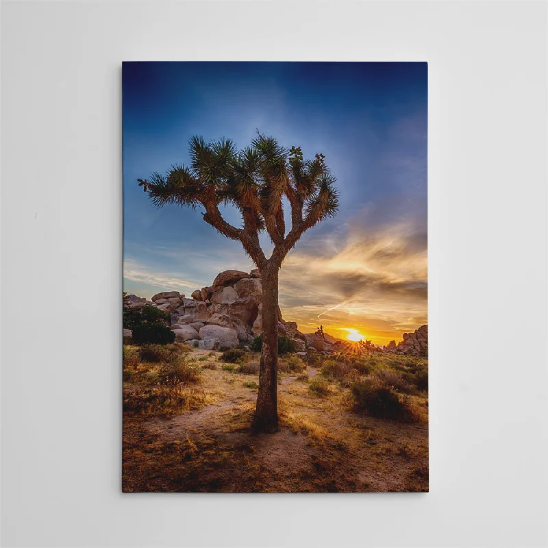 creative wall art for bedroom-Joshua Tree National Park