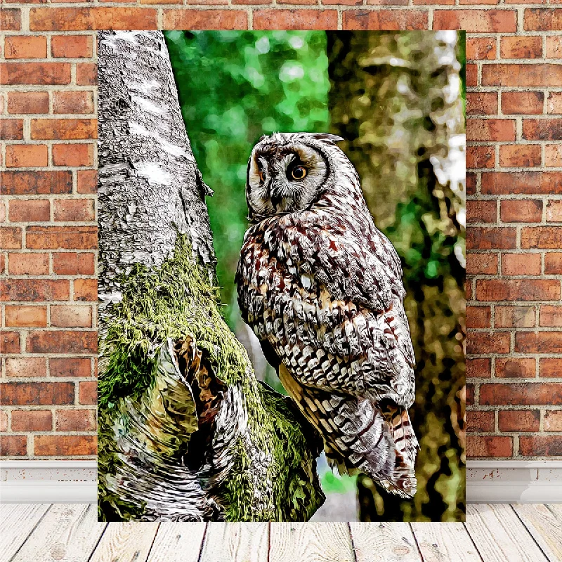 rustic wall decor-Long Eared Owl