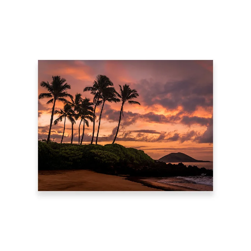 elegant art for living room-Maui Morning