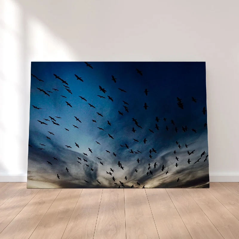 contemporary abstract wall decor-Pelican Migration Louisiana