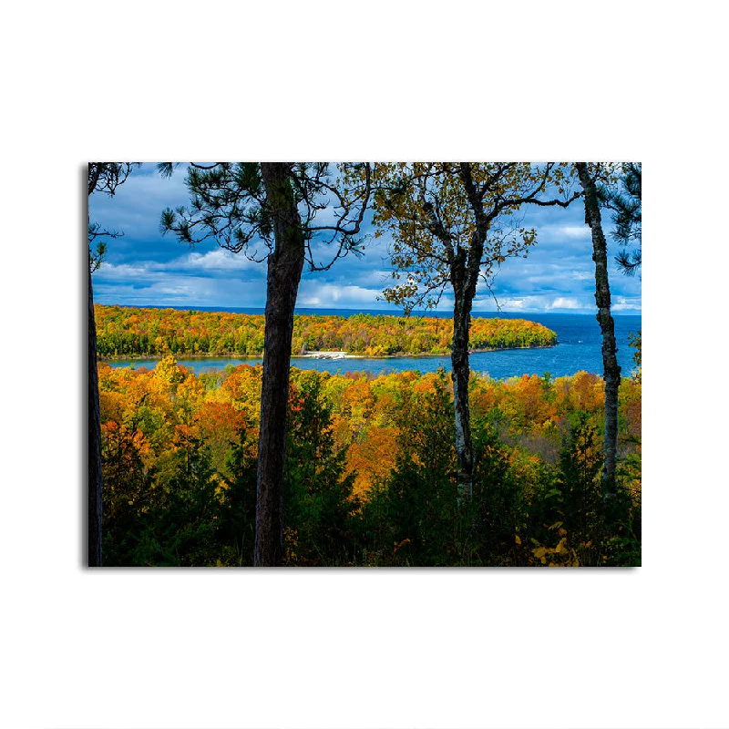 large floral canvas art-Peninsula State Park Lake Michigan