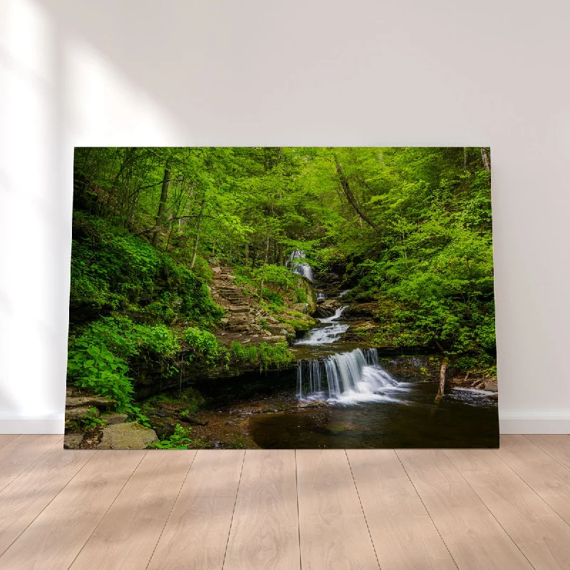 motivational art for living room-Ricketts Glen State Park