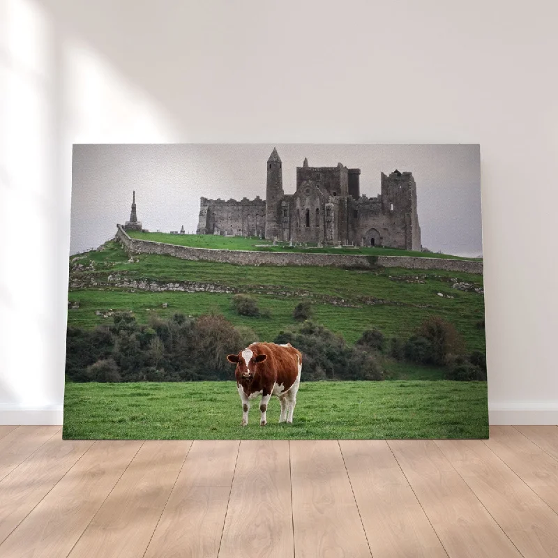 modern botanical wall art-Rock of Cashel, Ireland