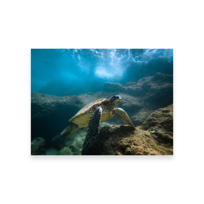 large minimalist art prints-Under the Sea