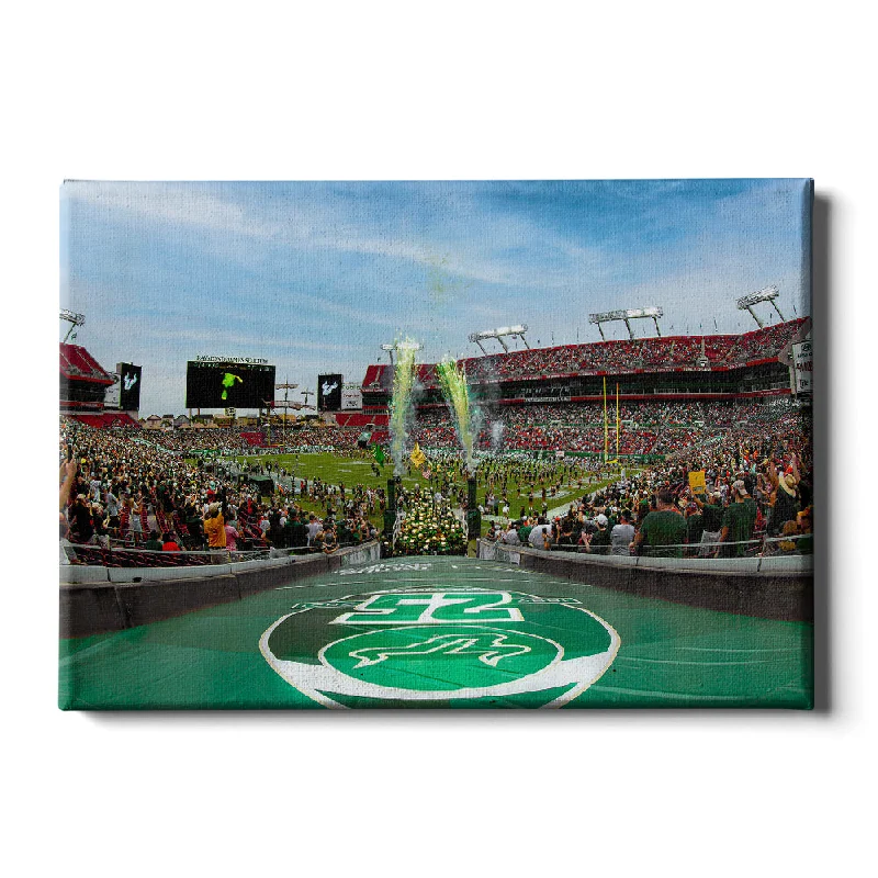 cityscape wall paintings-USF Bulls - Enter USF Bulls 25th Football Anniversary