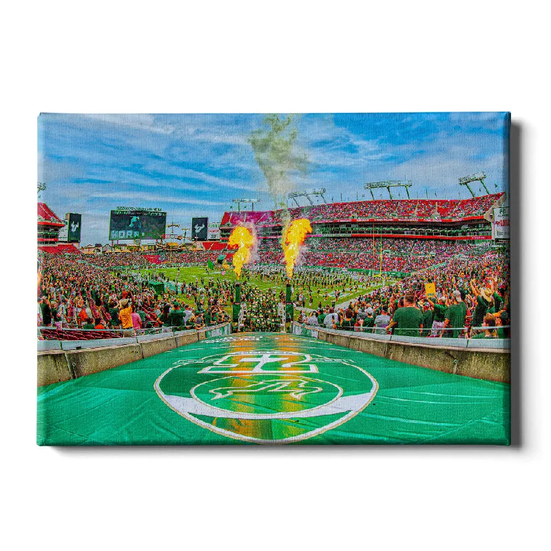 boho wall decor prints-USF Bulls - Enter Bulls