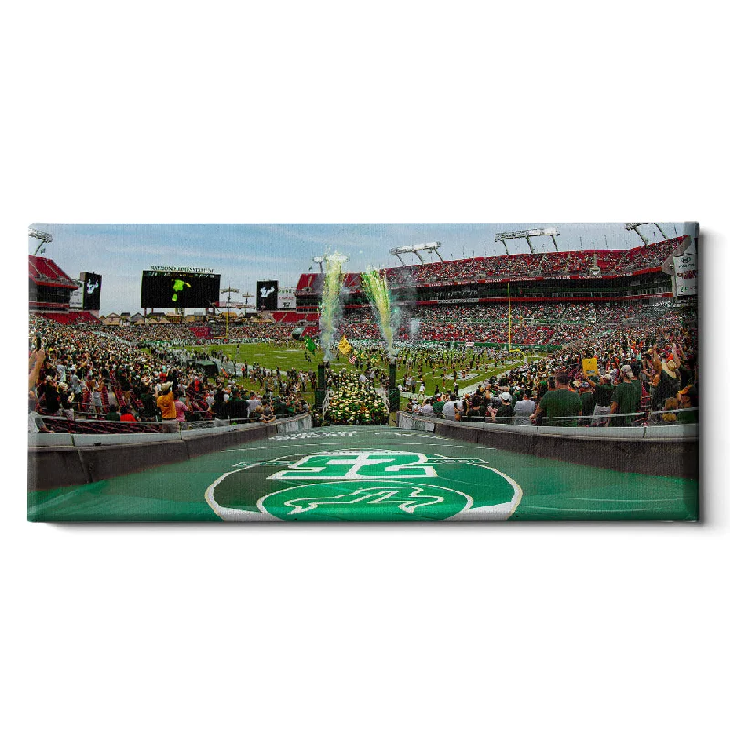 abstract art for living room-USF Bulls - Enter USF Bulls 25th Football Anniversary Panoramic