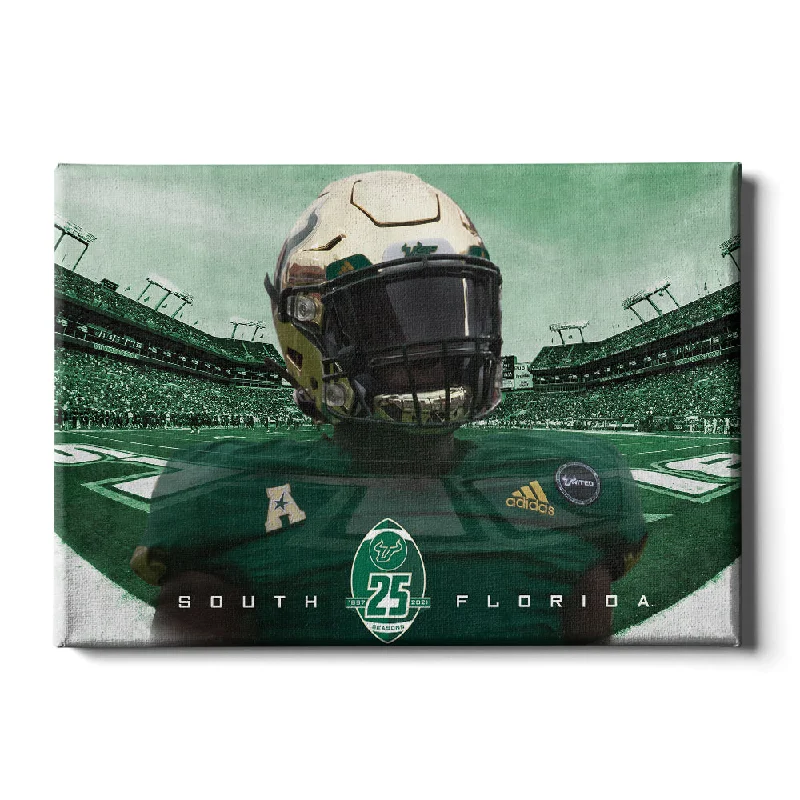 landscape canvas art-USF Bulls - South Florida 25 Years